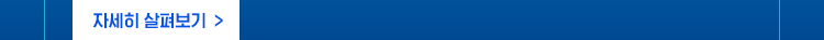 IBM watsonx